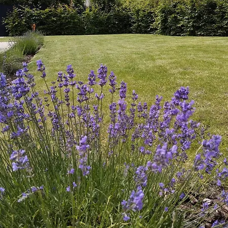 L'intemporelle * Le Crotoy