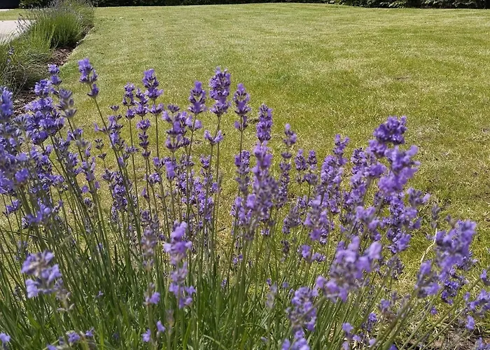 L'intemporelle * Le Crotoy